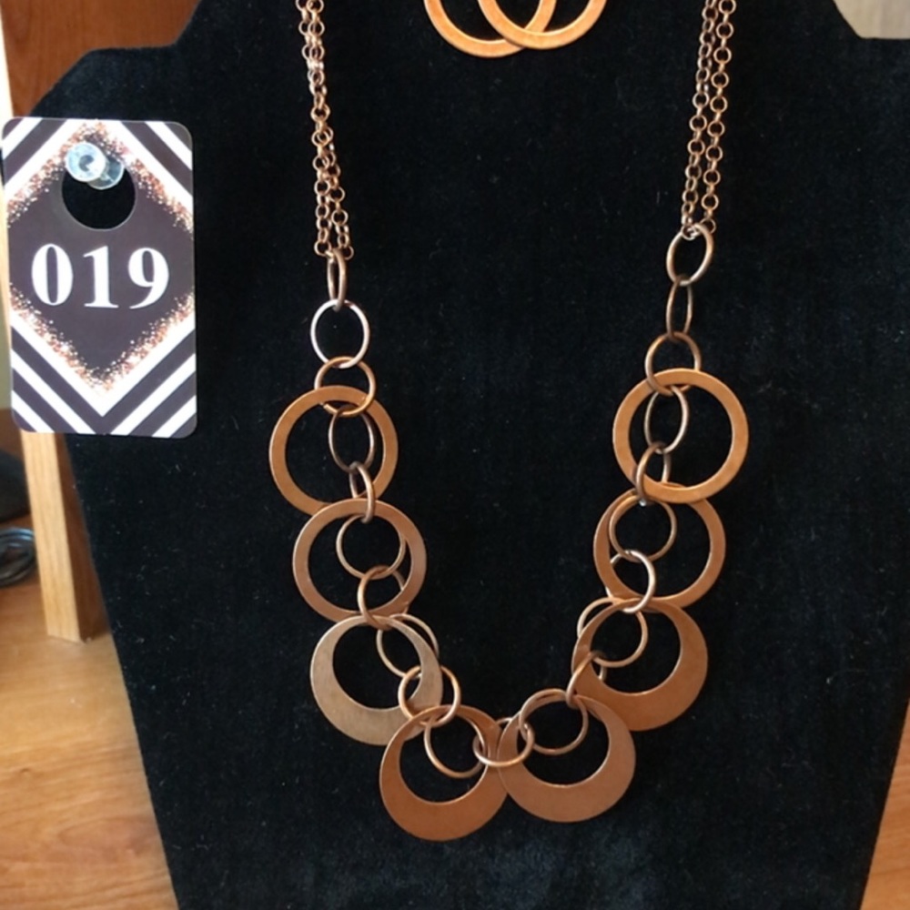 Paparazzi necklace with matching earrings